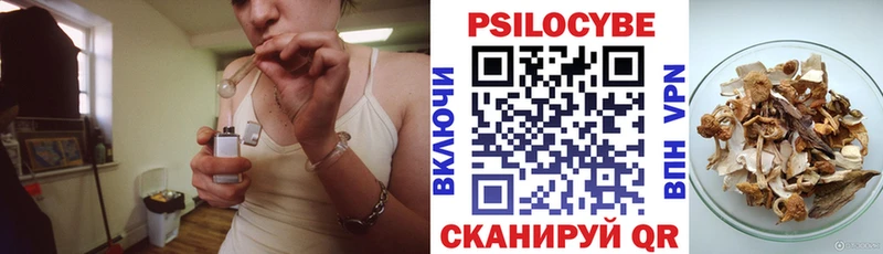 Галлюциногенные грибы Cubensis  omg ссылки  Макарьев 